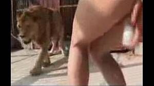 Lion Porno - fucking near a lion - XVIDEOS.COM