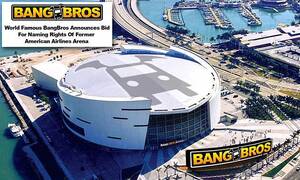 Miami Based Porn - Porn site offers $10 MILLION to rename Miami Heat Arena 'BangBros  Center'... or The BBC | Daily Mail Online
