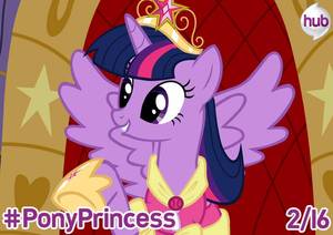 Animated Twilight Sparkle Porn - My Little Pony Friendship Is Magic Porn | My Little Pony Friendship is  Magic princess twilight