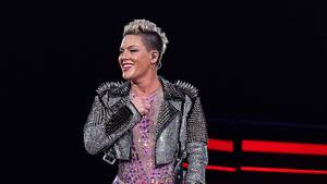 Banned Family Three Some - Pink will give away thousands of banned books at her Florida shows - ABC  News