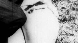 Antique 1900 Porn - ... Antique Porn - A Free Ride - Early 1900s Erotica