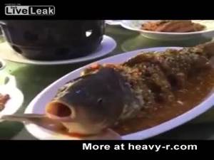 Fish Anal Porn - Live Served Fish Gets Shot Of Alcohol