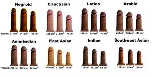 average penis gallery - Penis size per country pictures: Average penis volume by race, region and  country