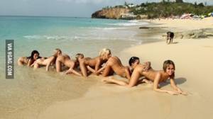 lesbian beach porn - Lesbian human centipede porn at the beach