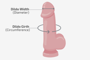 anal dildo diagram - Dildo Sizing Guide: Choose the Right Size for You (with Diagrams and T
