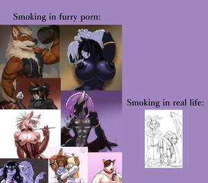 Furry Smoking Porn - Smoking_irl : r/furry_irl