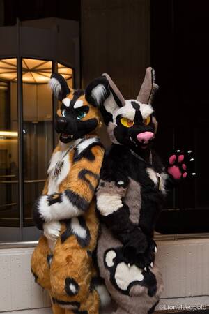 African Furry Porn - RT @wildRansom: It's time for an african wild dog... - Fursuit Pursuits!