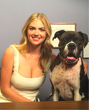 Kate Upton Porn Fuck - Kate Upton - Wikipedia