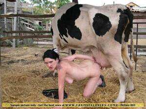 Lady Cow Porn - Cow lady. XXX compilation trends.