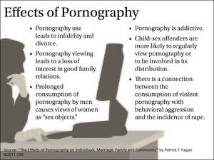 Effects Of Watching Porn - The U.S. Conference of Catholic Bishops tackled the topic of pornography  during it's fall session in