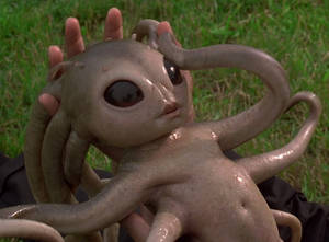 Fisto Porn - The baby in Men in Black grows up to be Kit Fisto from Star Wars