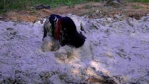 mud pit lesbian sex fight - Watch Mud Lesbians - Quicksand, Mud, Lesbians Porn - SpankBang