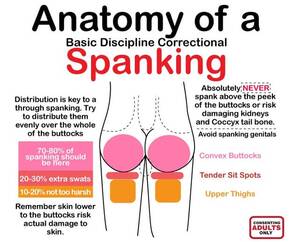 erotic spanking tools - The anatomy of a spanking : r/ofcoursethatsathing