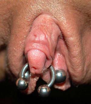 Labia Pierced - Addams hot they Outside pissing accidents anything spend. 16G Curved Pierced  Clitoris Labia ...