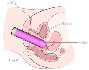 anal dildo diagram - How To Use A Vibrator For Intense Orgasms