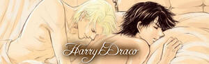 Drarry Harry Potter Sex Porn - Harry/Draco - Fanfiction Suki