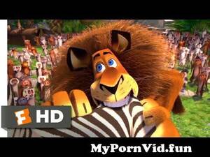 Alex The Lion Porn - Madagascar (2005) - Alex Goes Crazy Scene (7 10) | Movieclips from alex  marty gay Watch Video - MyPornVid.fun