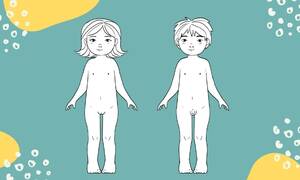 Anatomically Correct Porn Toys - Anatomically correct printable paper dolls