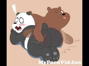 Kung Fu Panda Porn Fart - Panda Farts for Grizz from gassy panda Watch Video - MyPornVid.fun