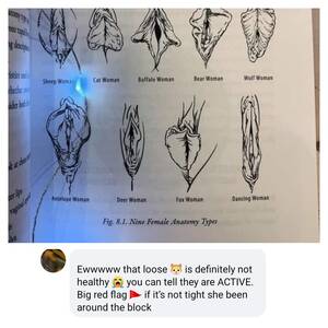 Anatomically Correct Deer Pussy - Unhealthy female anatomy ðŸš© : r/NotHowGirlsWork