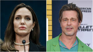Angelina Jolie Shemale Porn - Angelina Jolie Behind FBI Lawsuit About Brad Pitt Assault Allegations