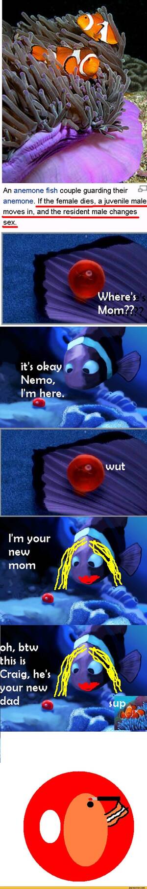 Finding Nemo Cartoon Porn - fucking-nemo / new / funny posts, pictures and gifs on JoyReactor