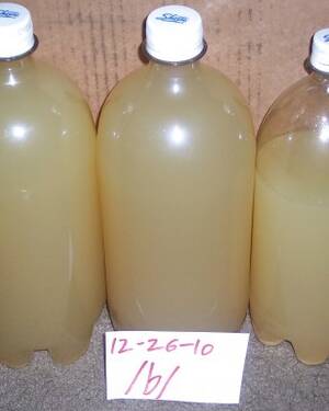 a bottle of cum - Cum Bottle Porn Pictures, XXX Photos, Sex Images #353793 - PICTOA