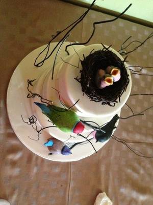 Bird Watching Porn - Bird Watching Cake by FondArt Â· Bird WatchingCreative CakesPornBirthday ...