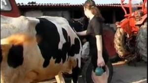Girl And Cow Porn - A young girl has sex with a cow zoo porn video with animals 480p Â» Download  zoo porno videos mp4 and free online