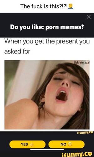 Hilarious Porn Memes - The fuck is Do you like: porn memes? When you get the present you asked for  - iFunny
