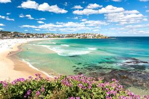 famous people on nude beaches - Bondi Beach to become nudist for one day only | The Independent
