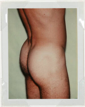 Gay Polaroid Porn - ANDY WARHOL \