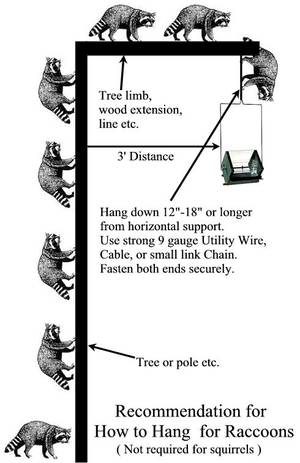 Bird Bath Porn - How to hang a raccoon-proof bird feeder. This is also squirrel-proof