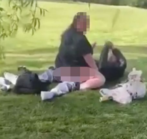 Couples Being Filmed Having Sex - Couple filmed having sex in park in front of kids (video)