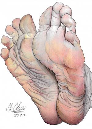 Feet Porn Art - For Hire] Furry artist, Both Digital and traditional art, mostly foot  fetish art : r/HungryArtists