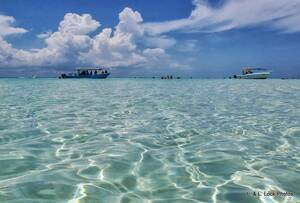 bahamas naked beach - A writer's life with a pampered pooch: Beach porn