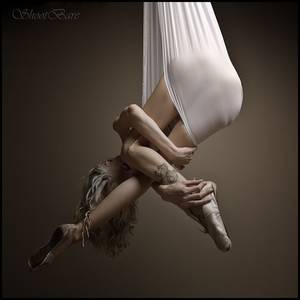 Aerial Dancer Porn - Aerial silk porn - Aerial silk nudes google search jpg 736x736