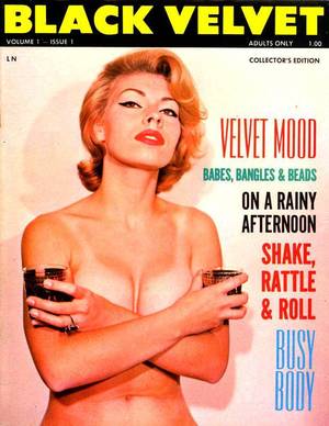 60s Themed Porn Magazine - boozing babes (7)