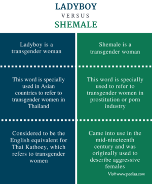 mean asian shemales - Difference Between Ladyboy and Shemale | Meaning, Features, Origins, Usage