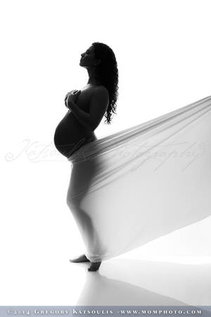 bw sexy pregnant naked - Pregnant Silhoutte | Boston Maternity Photographer. by admin on November  29, 2016. Posted in BW, maternity nude ...