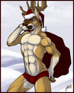 Deer Furry Porn Solo - Furry Art, Reindeer, Art Designs, Gay, Merry, Art Projects