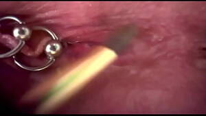 Extreme Piercing Porn - extreme piercing' Search - XNXX.COM
