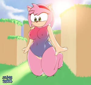 Fat Amy Rose Porn - Amy Rose Hentai Gif image #29295 | wallpapers1.ru