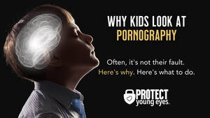 Caught Having Sex Jokes - Why Kids Look at Pornography (It's not their fault) - Protect Young Eyes