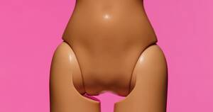 Kardashian Porn Clit - Our Barbie Vaginas, Ourselves â€“ Mother Jones