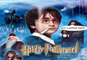 Funny Harry Potter Porn - Funny Harry Potter Photos