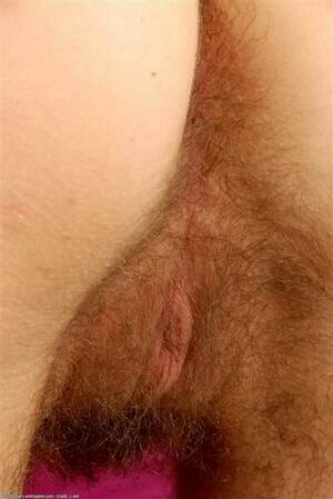 aisha hairy pussy - Aisha: Hairy Girls Spreading In A Sultry Gallery