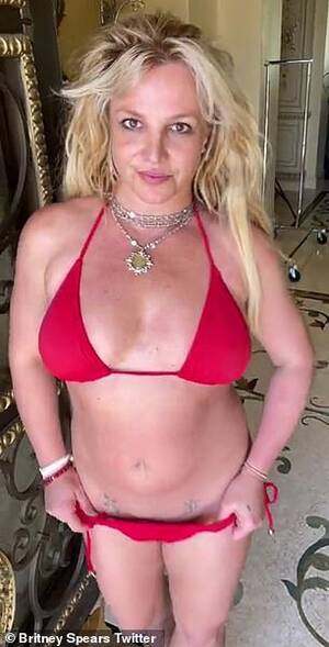 Britney Spears Anal - Britney Spears shoots down wild death theory sparked by her strange  Instagram posts | Daily Mail Online
