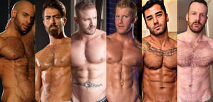 Bi Male Porn Stars - 6 of Our Favorite Gay Porn Stars Reveal Their Best Workout and Dieting Tips