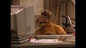 Funny Dub - Willy Catches Alf watching Porn - Funny Alf Dub Parody